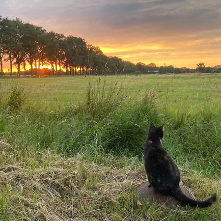 Kindvriendelijk Appartement De Hooge Stukken Onder De Rook Van Groningen Элде-Патерсволде Экстерьер фото
